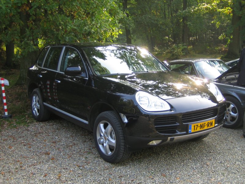 #21941 - Een Brabants Trekpaard is er niets tegen: The Mighty Cayenne!